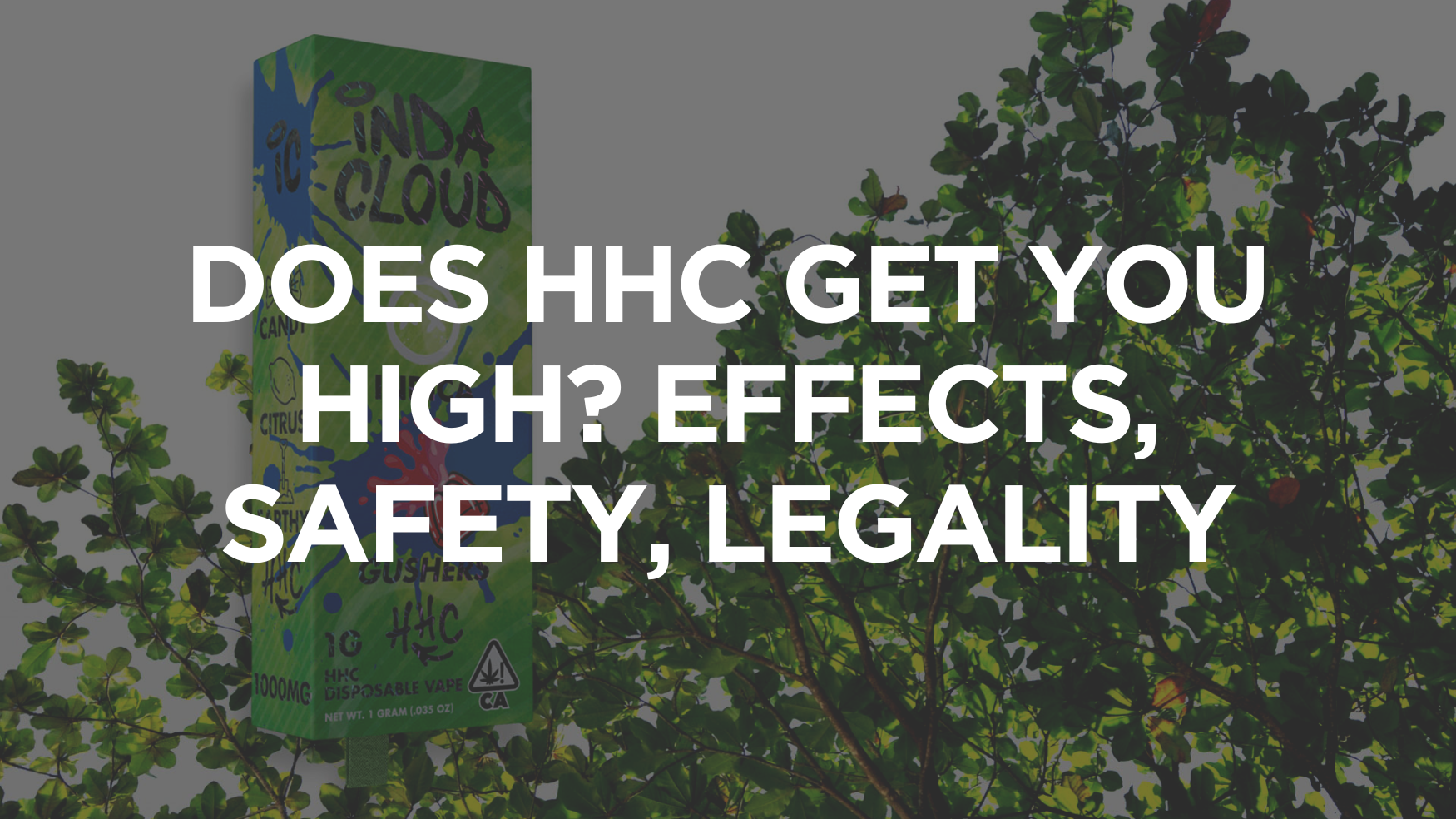 Does HHC Get You High Effects, Safety, Legality