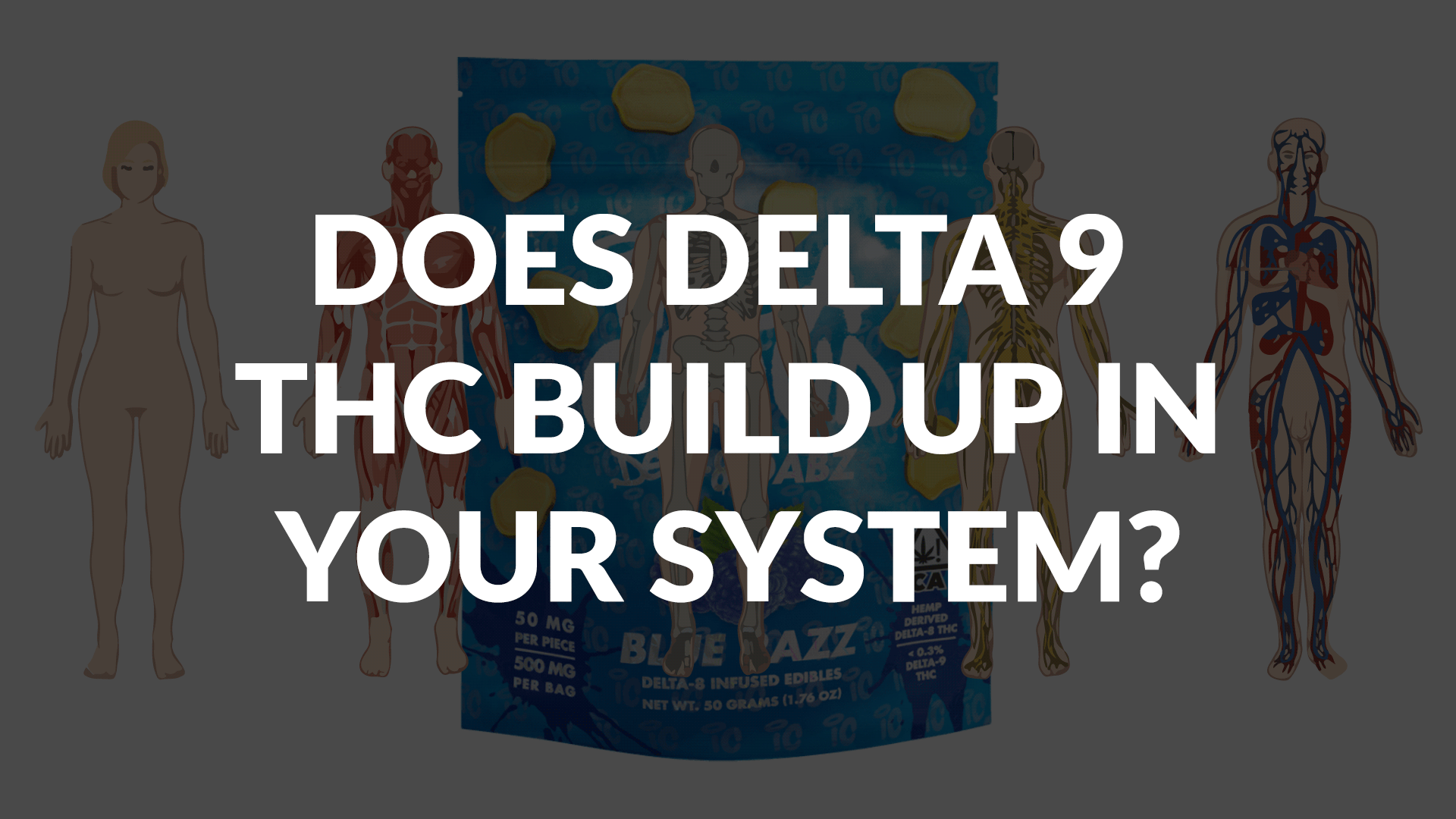 DOES DELTA 9 THC BUILD UP IN YOUR SYSTEM?