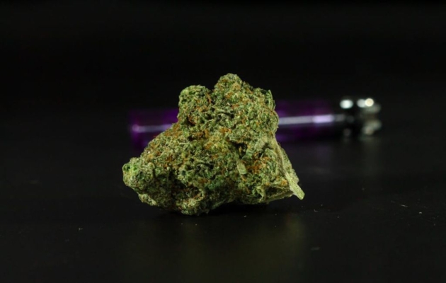 forbidden fruit strain