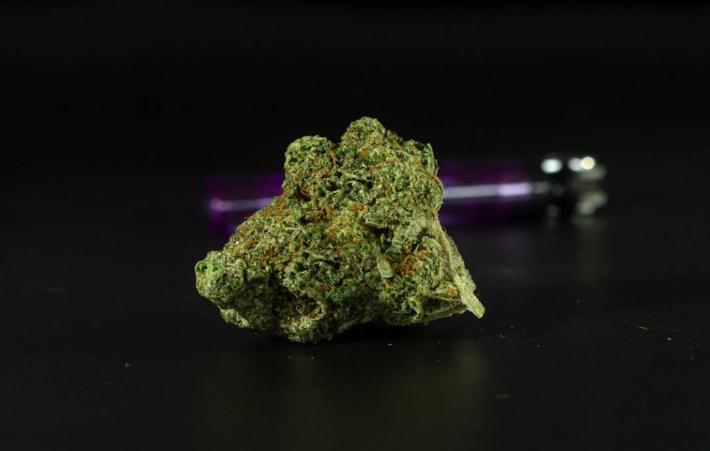 Forbidden Fruit Strain Highlight 3 Forbidden Fruit Strain