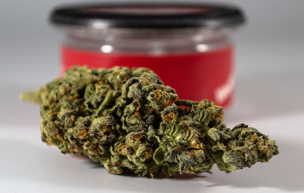 Gelato 41 Strain: A Premium Cannabis Experience 4 Gelato 41 Strain